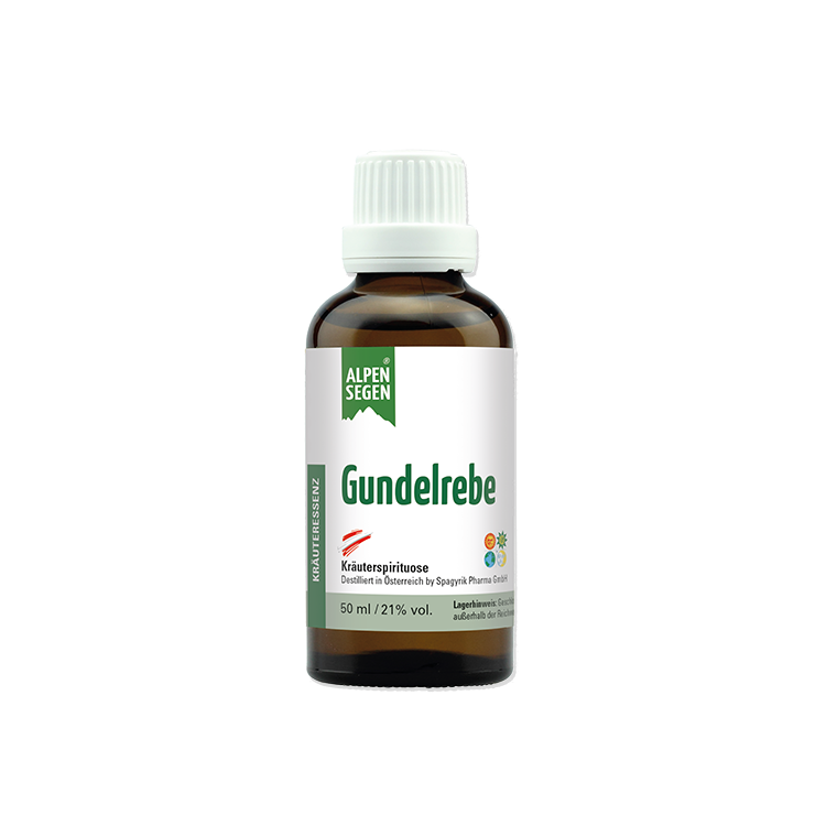 Alpensegen Gundelrebe, 50 ml