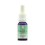 Helping Flowers (12) - Ehrenpreis