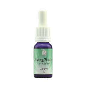 Helping Flowers (16) - Ginster