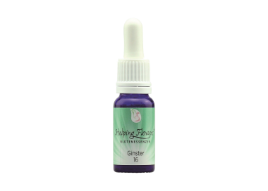 Helping Flowers (16) - Ginster