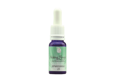 Helping Flowers (23) - Johanniskraut