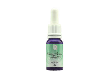 Helping Flowers (44) - Veilchen