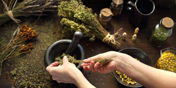 Draufsicht auf Hände, die getrocknete Kräuter in einen Steinmörser füllen