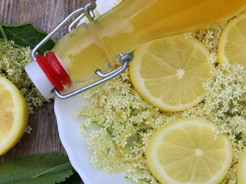 Eine Flasche Holunderblütensirup liegt auf einem weißen Teller, umgeben von frischen Holunderblüten und Zitronenscheiben.