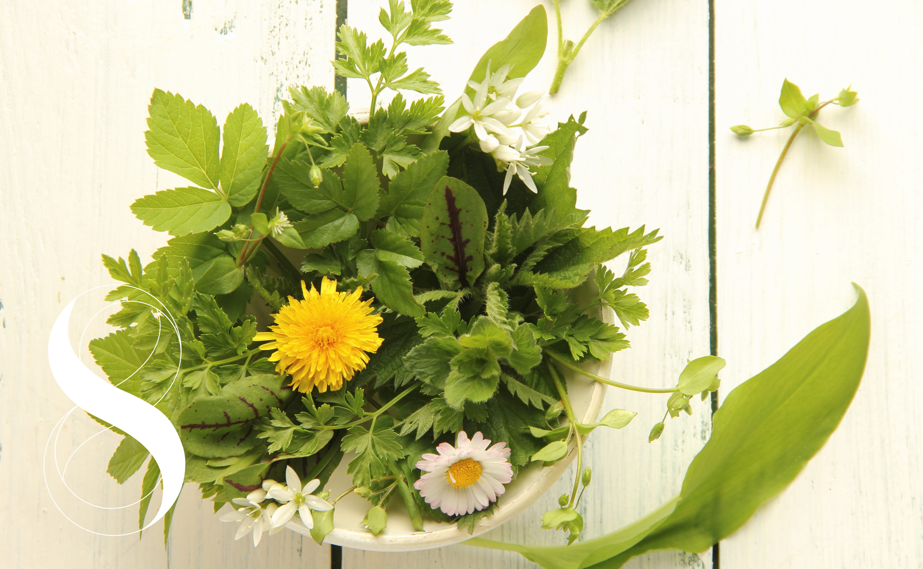 Frische Wildkräuter und essbare Blüten wie Löwenzahn, Gänseblümchen und Bärlauch in einer Schüssel – gesunde Kräuter für Küche, Detox und Naturheilkunde.